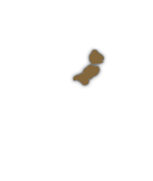 Timbersteel
